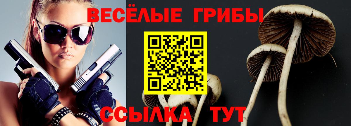 Ноябрьск  Псилоцибиновые грибы Magic Shrooms  даркнет сайт  Вход с VPN  Псилоцибиновые грибы мицелий 