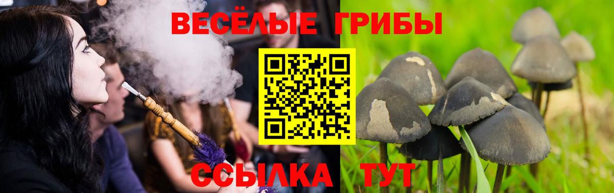 Галлюциногенные грибы Magic Shrooms Ноябрьск